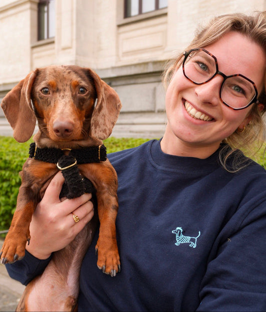 Teckelsweater - Kids